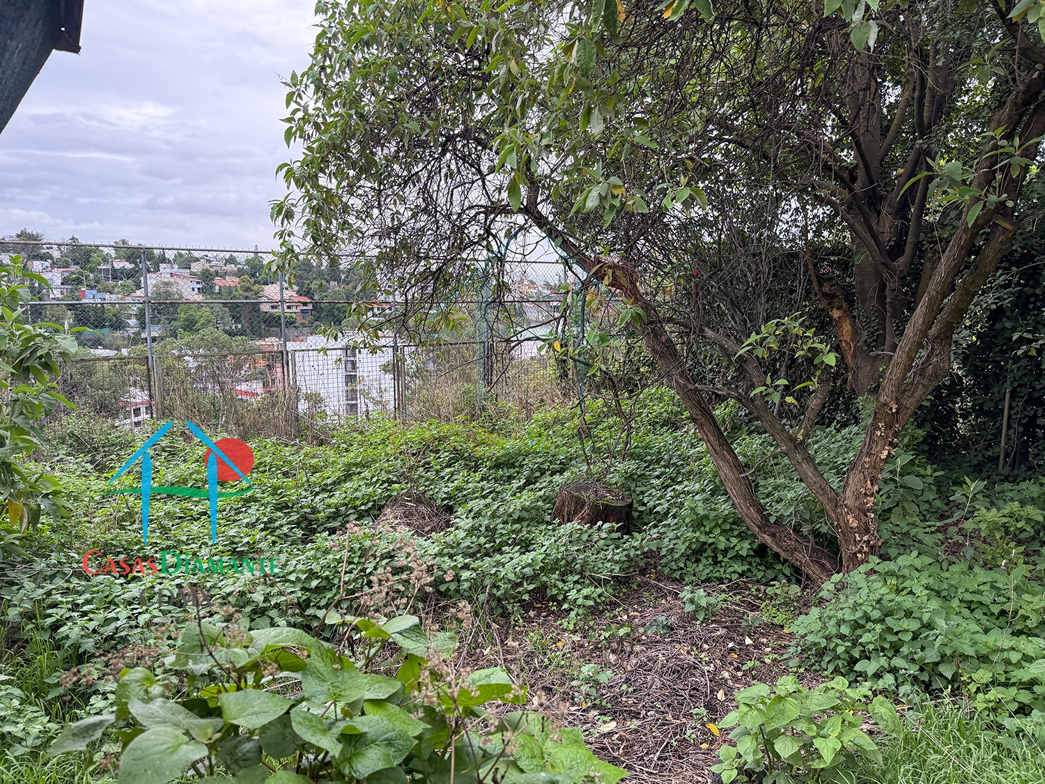 Bosques de las Lomas Terreno Jaguar BBC - Propiedad a demoler 30